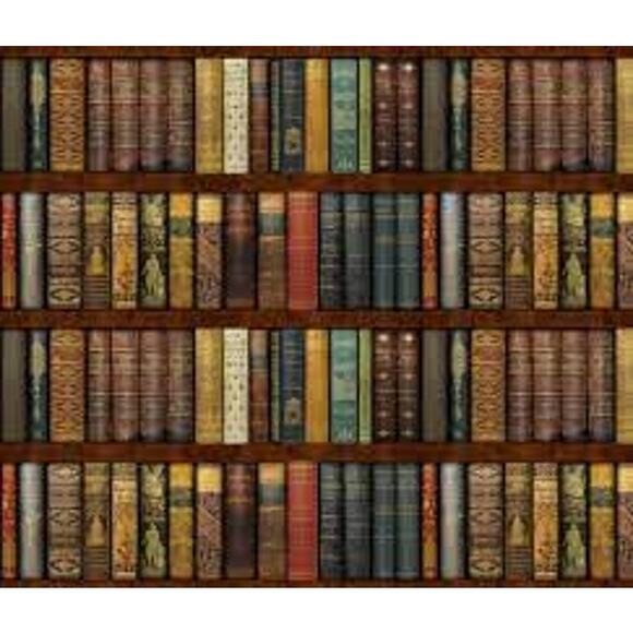 Spoonflower New Instant Library With Shelves Prepasted Removable Smooth 12' - Picture 1 of 5